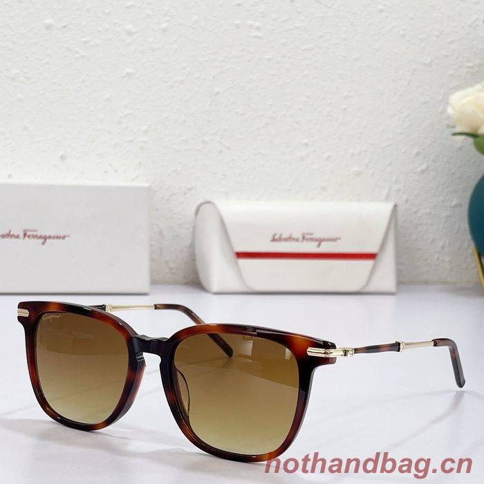 Salvatore Ferragamo Sunglasses Top Quality SFS00118